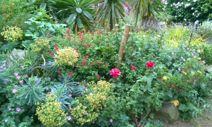Phoenix garden.jpg