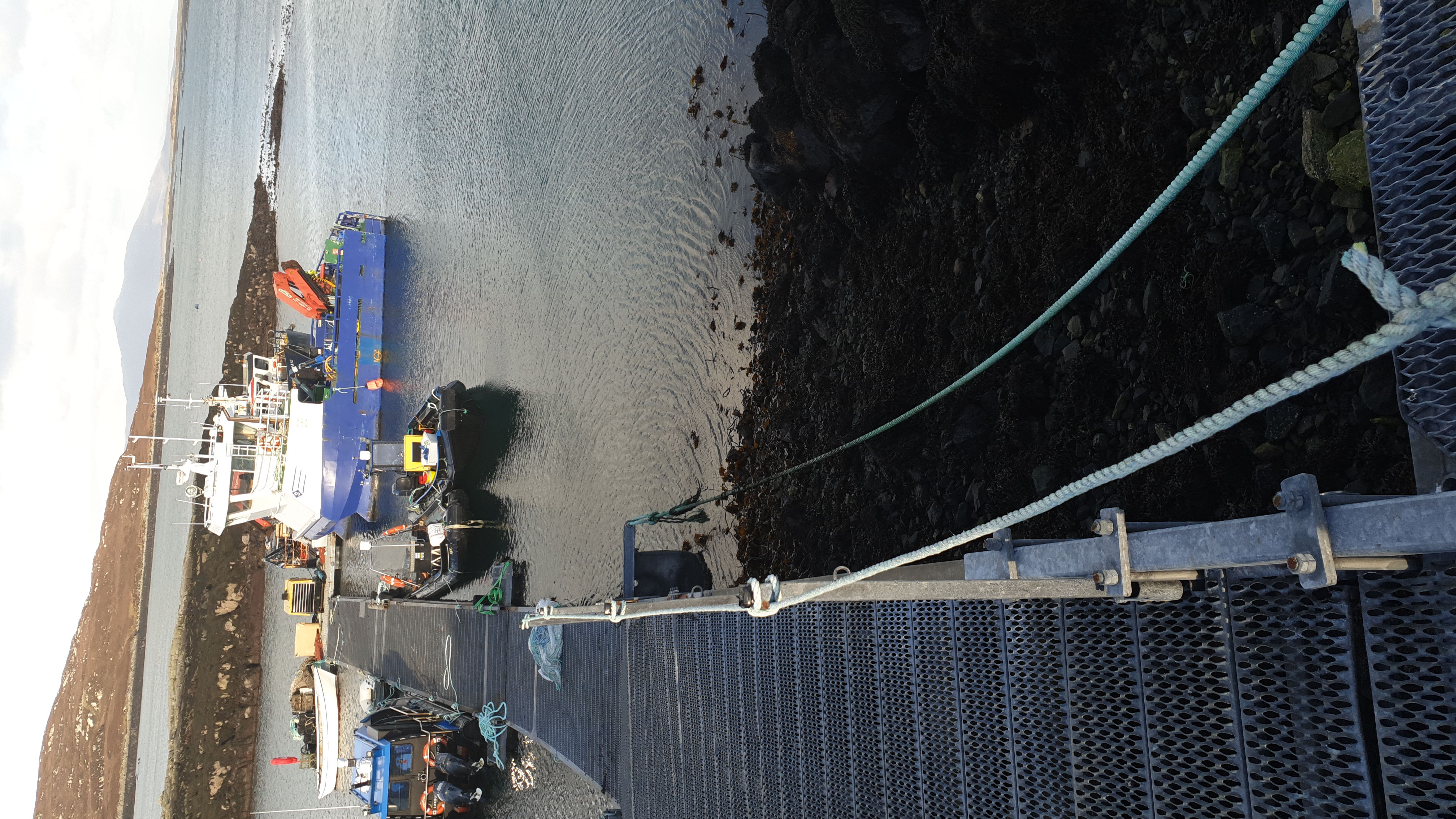 IMG-20200212-WA0014.jpeg