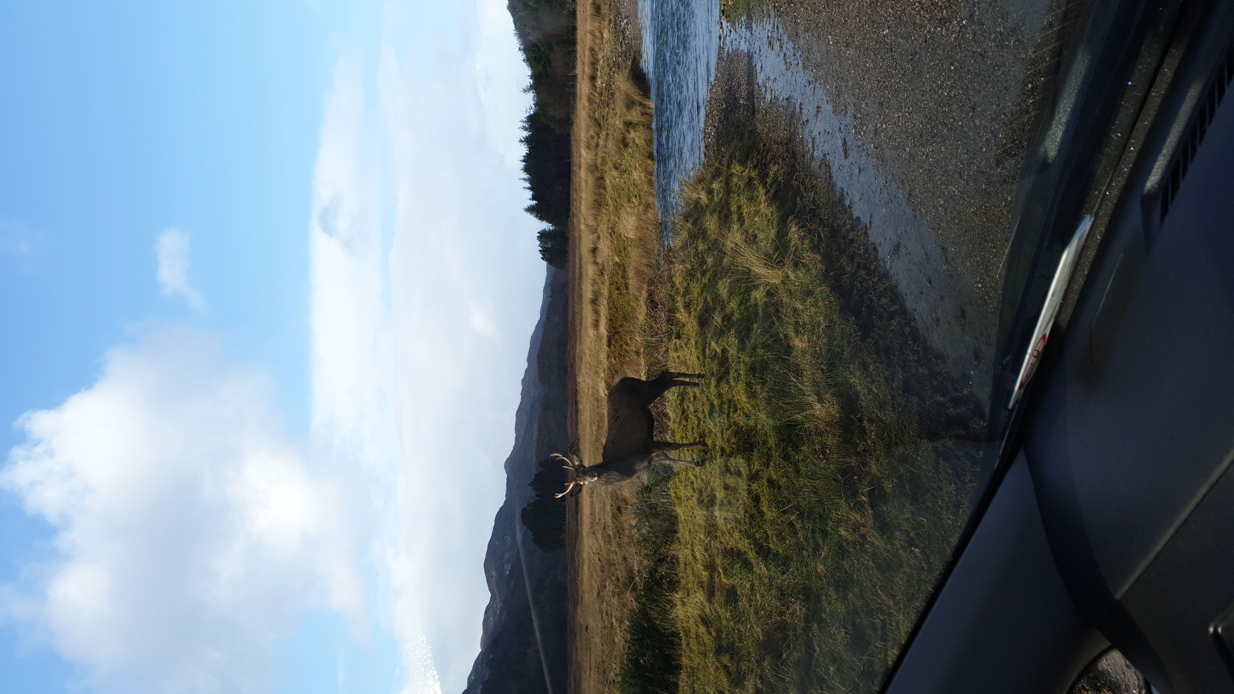 IMG-20200214-WA0000.jpeg
