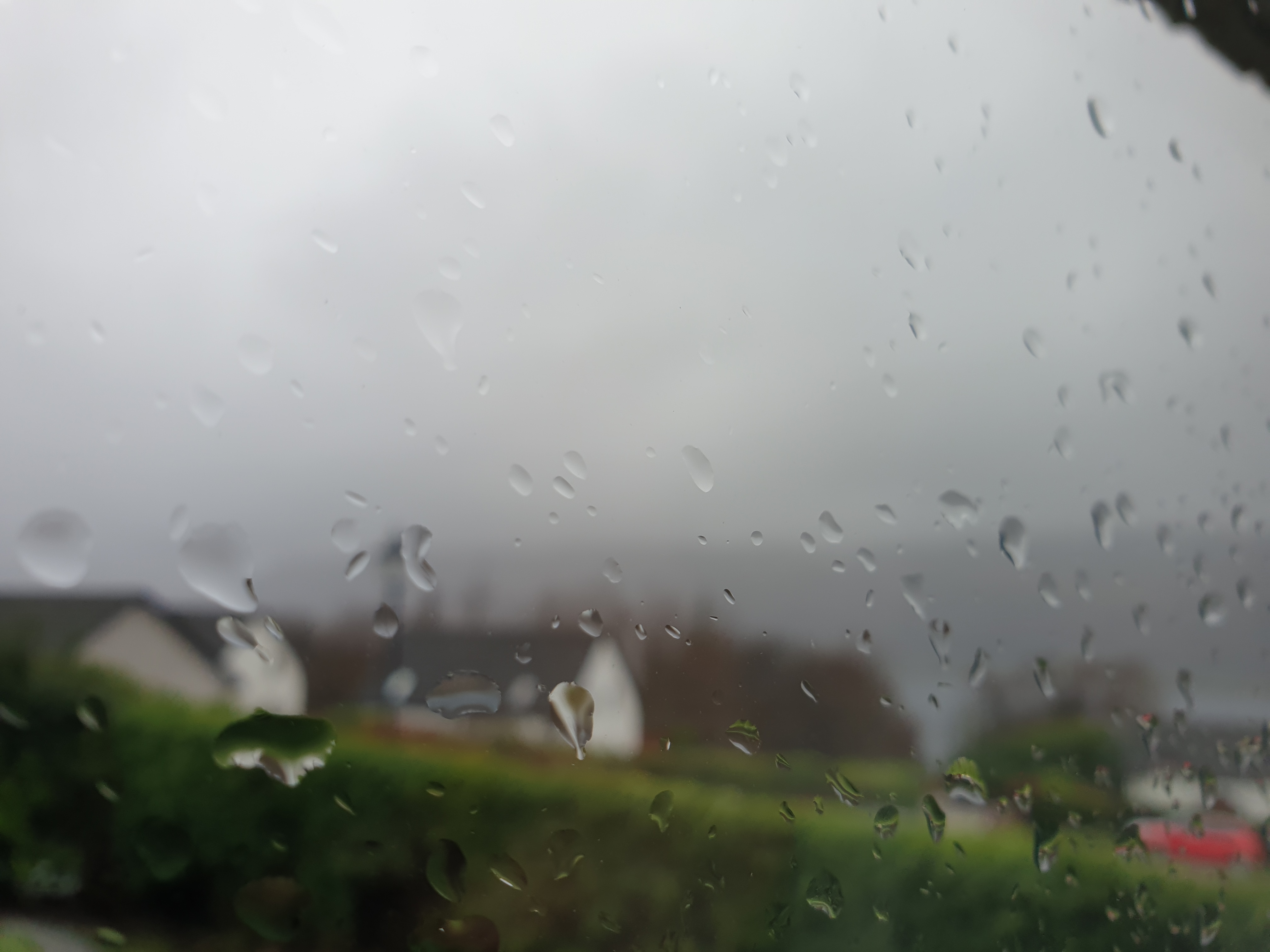 20210109_102641.jpg