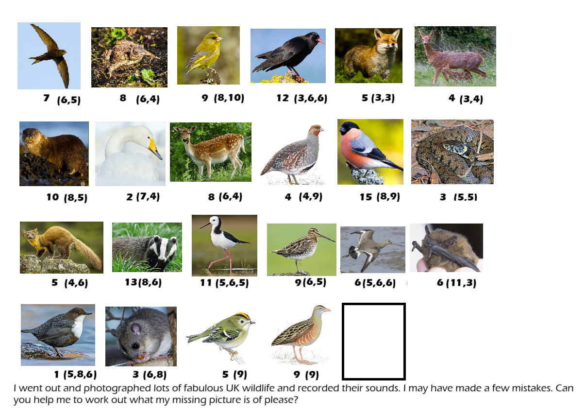 November Puzzle Wildlife Hunt.png