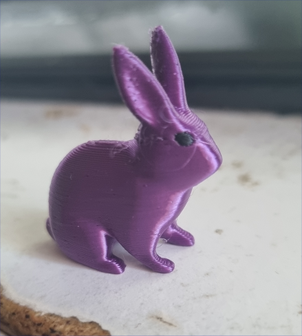 rabbit.png